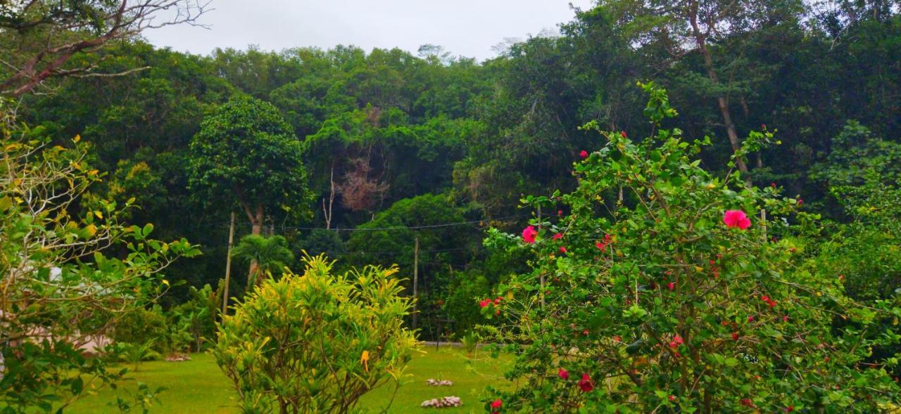 Dan Zoranz Self Catering Guest House La Digue Exterior foto